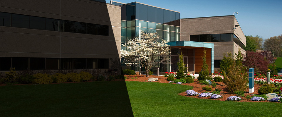 Camanche Landscapers