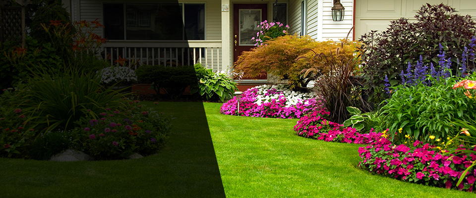 Camanche Landscapers