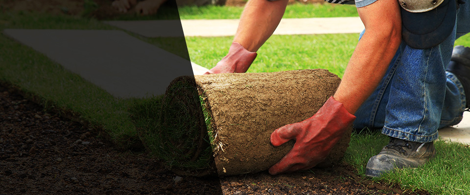 Camanche Landscapers